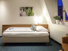 Zimmerbild 2