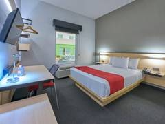 Zimmerbild 1