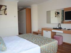 Zimmerbild 8