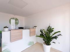 Zimmerbild 4