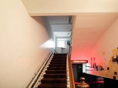 Zimmerbild 8