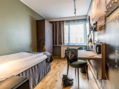 Zimmerbild 1