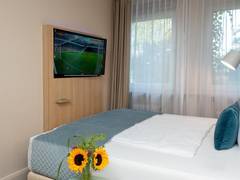 Zimmerbild 0