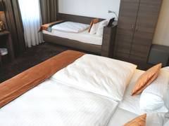 Zimmerbild 1