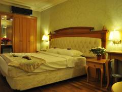Zimmerbild 7