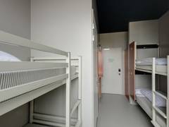 Zimmerbild 5