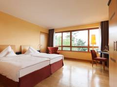 Zimmerbild 8