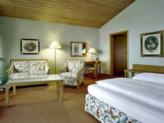 Zimmerbild 1