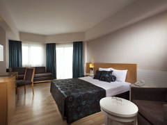 Zimmerbild 29