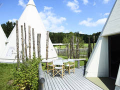 Zimmerbild 6