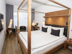 Zimmerbild 3