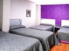 Zimmerbild 4