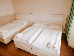 Zimmerbild 6