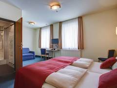 Zimmerbild 5