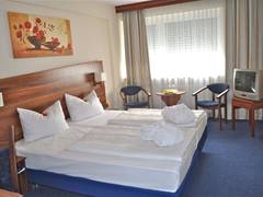 Zimmerbild 28