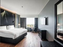 Zimmerbild 11