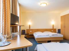 Zimmerbild 19