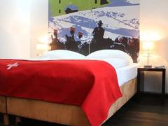 Zimmerbild 11