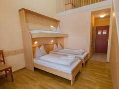 Zimmerbild 16