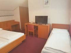 Zimmerbild 13