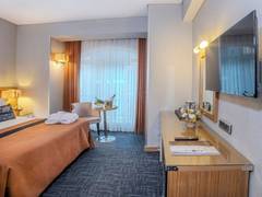 Zimmerbild 3