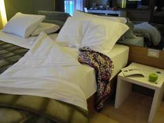 Zimmerbild 5