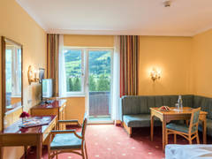 Zimmerbild 8