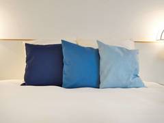 Zimmerbild 13