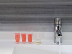Zimmerbild 3