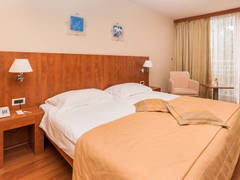 Zimmerbild 6