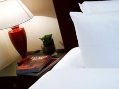 Zimmerbild 11