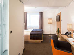 Zimmerbild 3