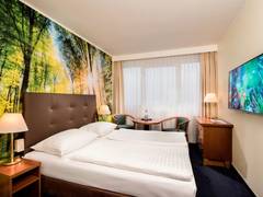 Zimmerbild 6