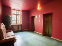 Zimmerbild 5