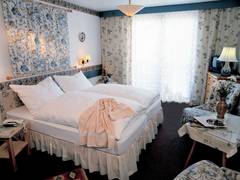 Zimmerbild 2