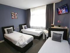 Zimmerbild 2