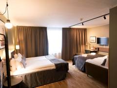 Zimmerbild 3