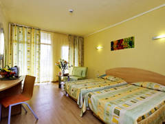 Zimmerbild 9