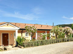 Zimmerbild 30