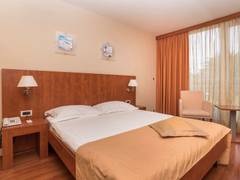 Zimmerbild 9