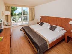 Zimmerbild 5