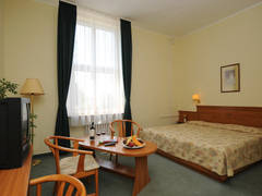 Zimmerbild 13