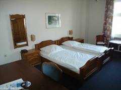 Zimmerbild 6
