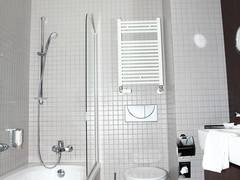 Zimmerbild 5