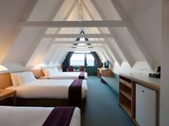 Zimmerbild 11