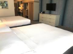 Zimmerbild 4