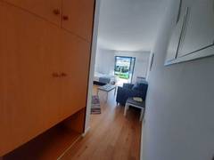 Zimmerbild 7
