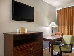 Zimmerbild 21