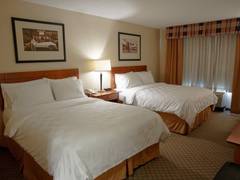 Zimmerbild 2