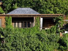 Zimmerbild 5